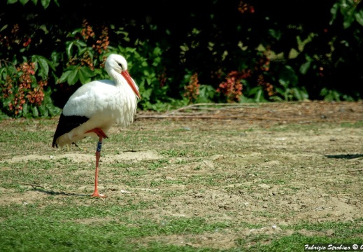 Luoghi